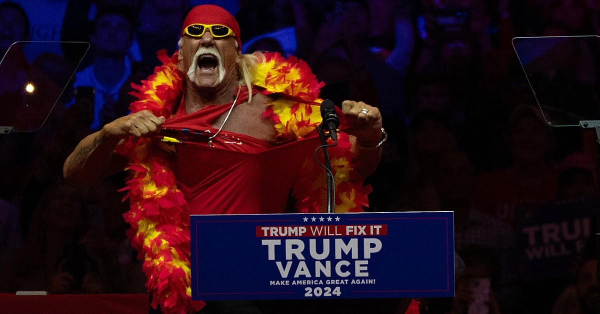 maga cheerleader hulk hogan declares hes next for a spot on donald trumps mad cabinet my president said id be great to run physical fitness council