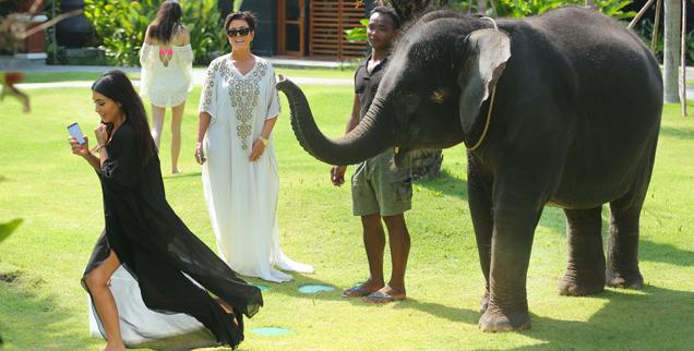 //kim kardashian scared elephants thailand family holiday