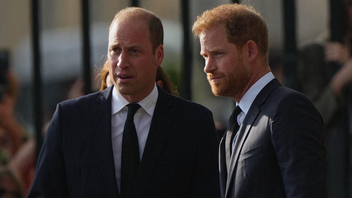Photo of Prince William and Prince Harry