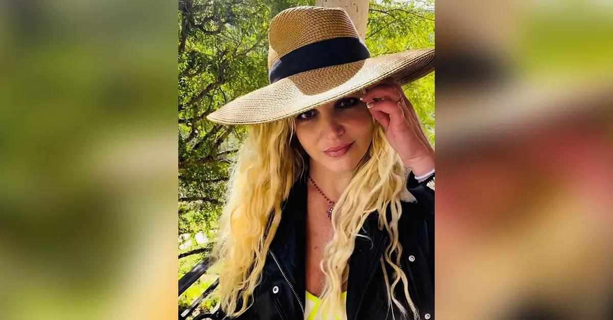 britney spears family racing to save pop star concerning behavior