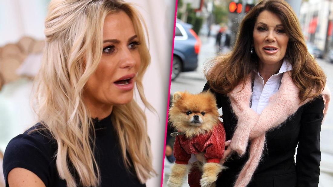 Dorit Kemsley Denies Mistreating Dog RHOBH Lisa Vanderpump