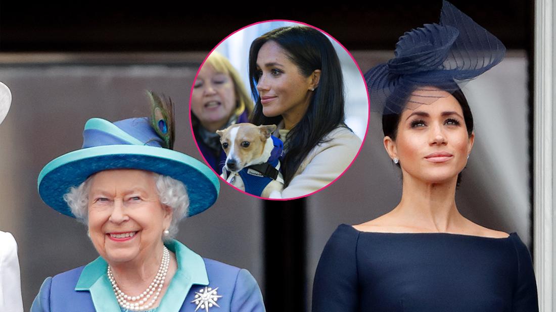 Queen Elizabeth II and Meghan, Duchess of Sussex watch a flypast to mark the centenary of the Royal Air Force from the balcony of Buckingham Palace on July 10, 2018 in London, England. Inset center, Meghan Markle with her rescued puppy.