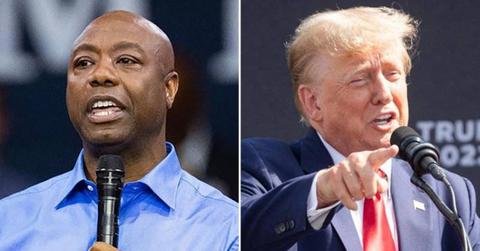 msnbc morning joe tim scott endorsing racist donald trump