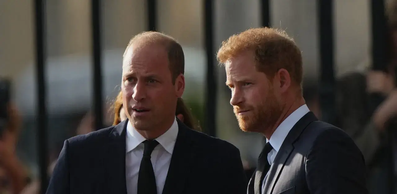 Photo of Prince William and Prince Harry 