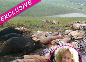 //ohio zoo wild animals terry thompson