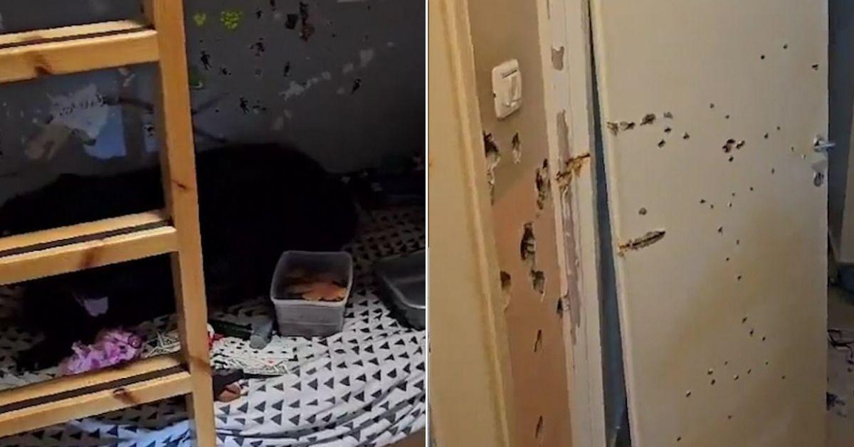 dog refuses to leave child bunkbed after hamas terrorist massacre