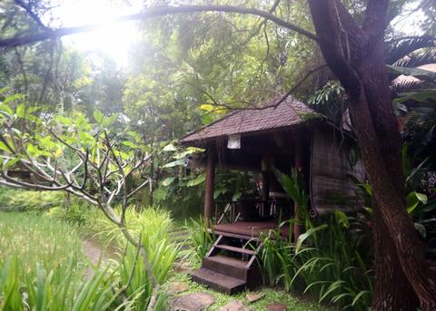 Russell Simmons Sex Abuse Scandal Bali Hideout