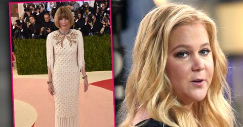 amy schumer howard stern slams met gala vogue beyonce