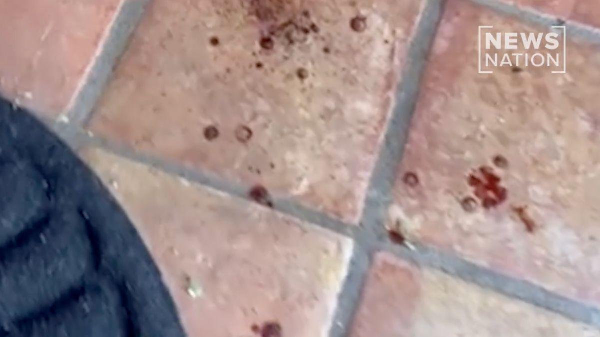 Photo of Nancy Guthrie house