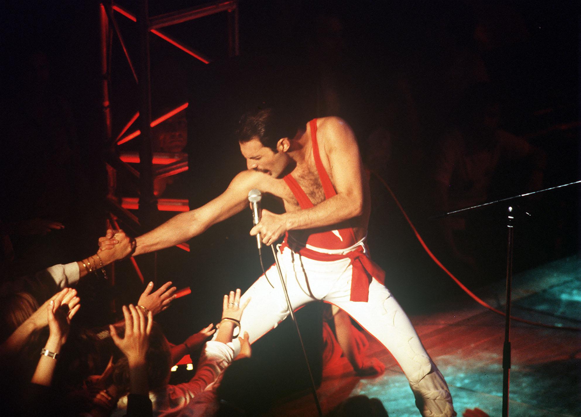 Photo of Freddie Mercury