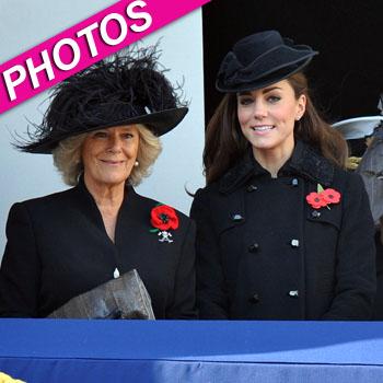 //kate middleton remedc