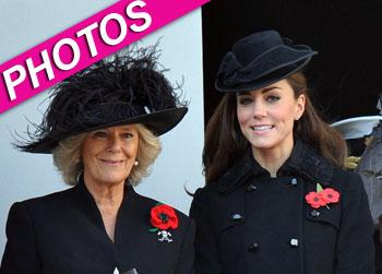 //kate middleton remedc