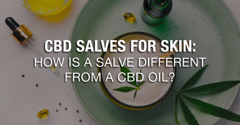CBD Salves For Skin: How Is a Salve Different From a CBD Oil?