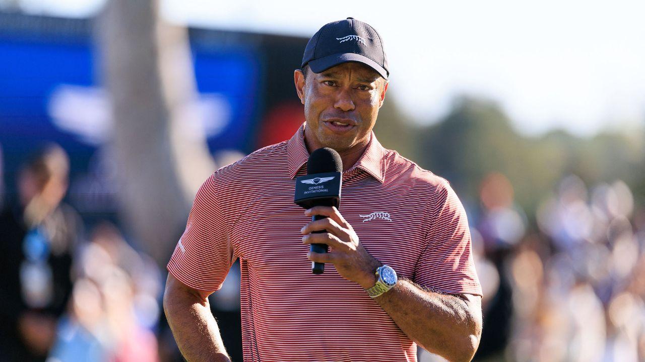image of The judge told Tiger Woods he will 'go immediately back to jail' if he drives 'for any reason at all.'