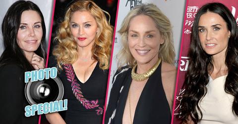 //hollywood cougars pp ps