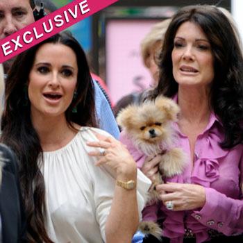 //lisa vanderpump fued kyle richards splash news