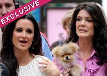 //lisa vanderpump fued kyle richards splash news