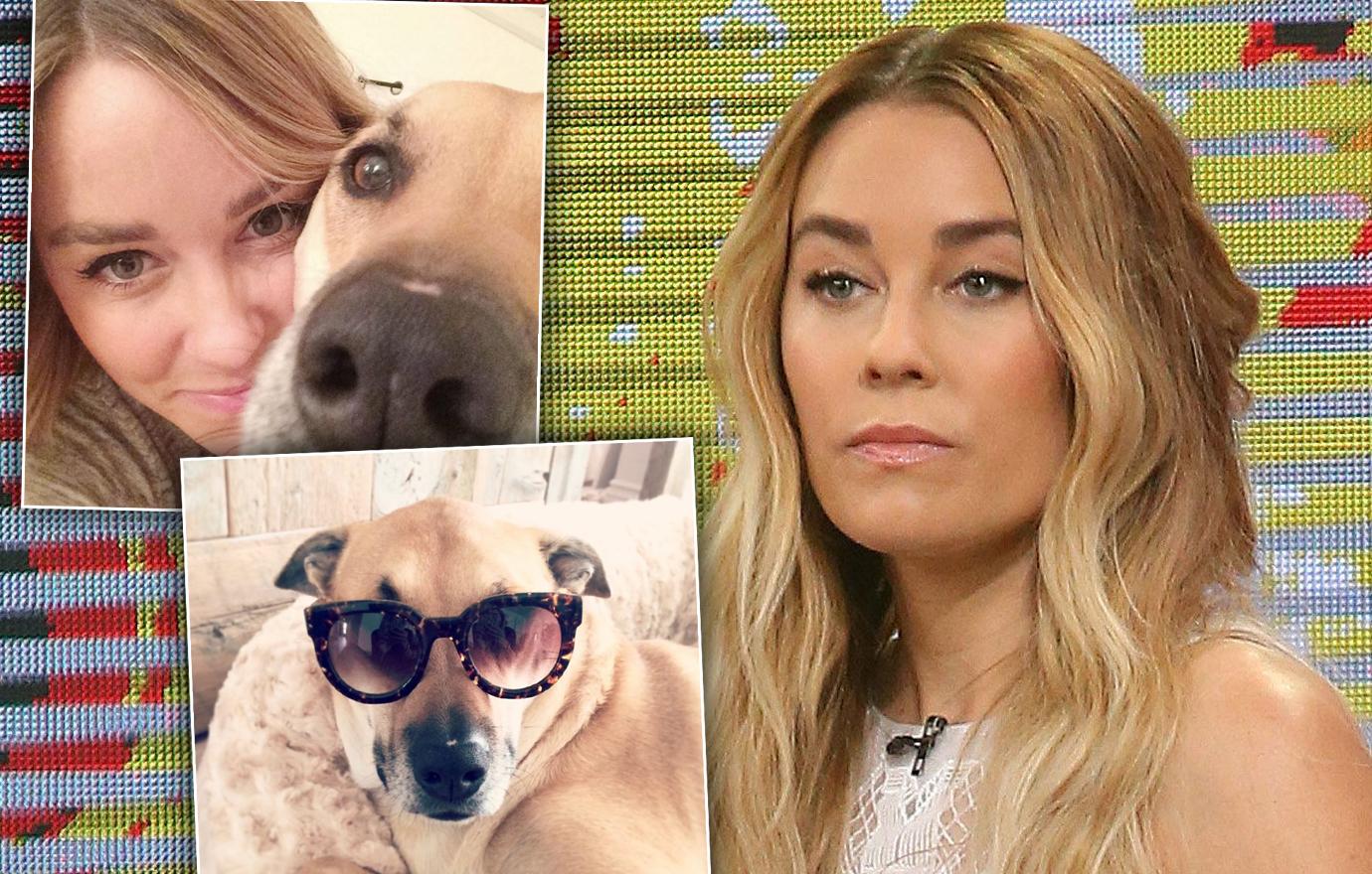 Celebrity Pet Deaths Of 2019