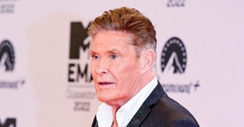Photo of David Hasselhoff