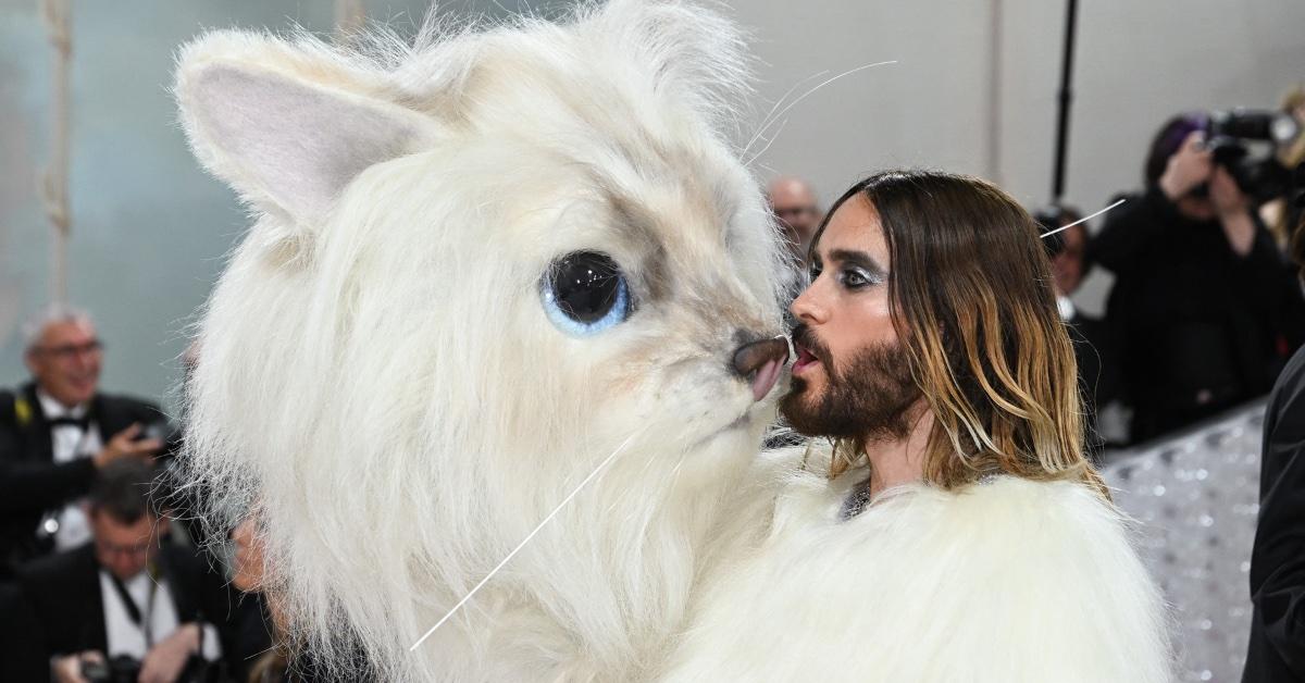 met gala  best and worst looks red carpet photos jared