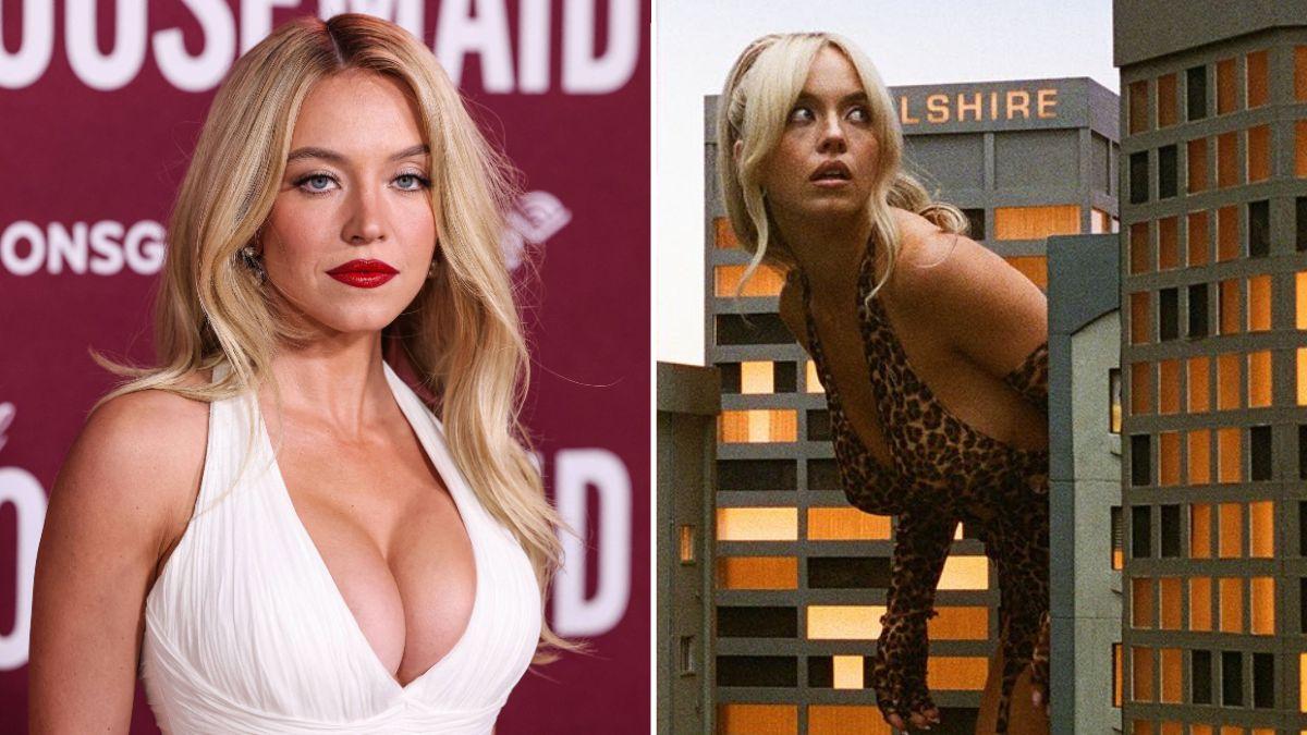 picture of sydney sweeney