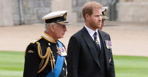 king charles and prince harry
