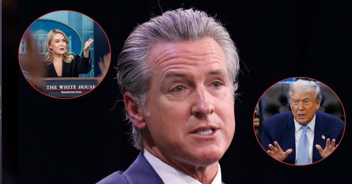 Composite photo of Karoline Leavitt, Gavin Newsom and Donald Trump