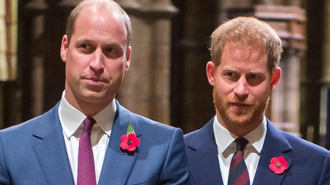 Photo of Princes Harry and William