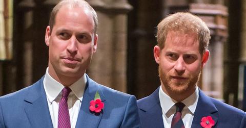 Photo of Princes Harry and William