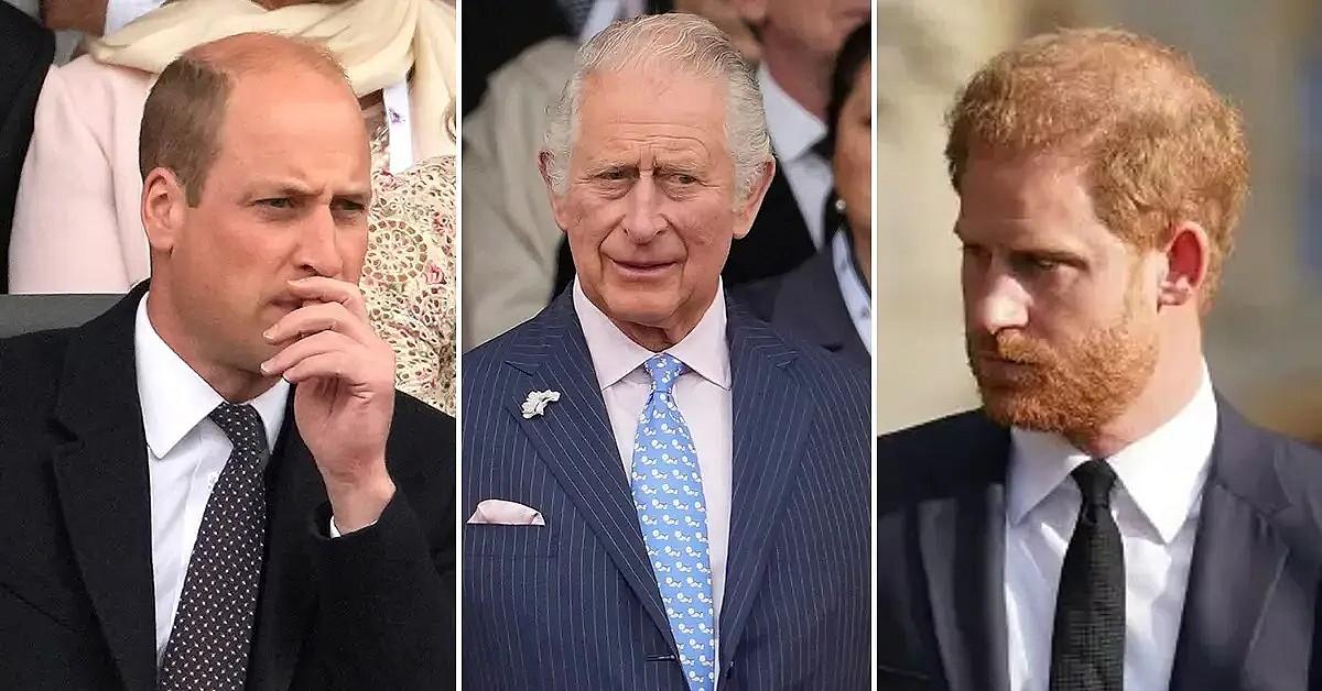 Photo of Prince William, King Charles, Prince Harry