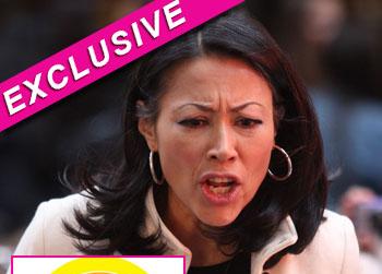 //ann curry today appearance landov