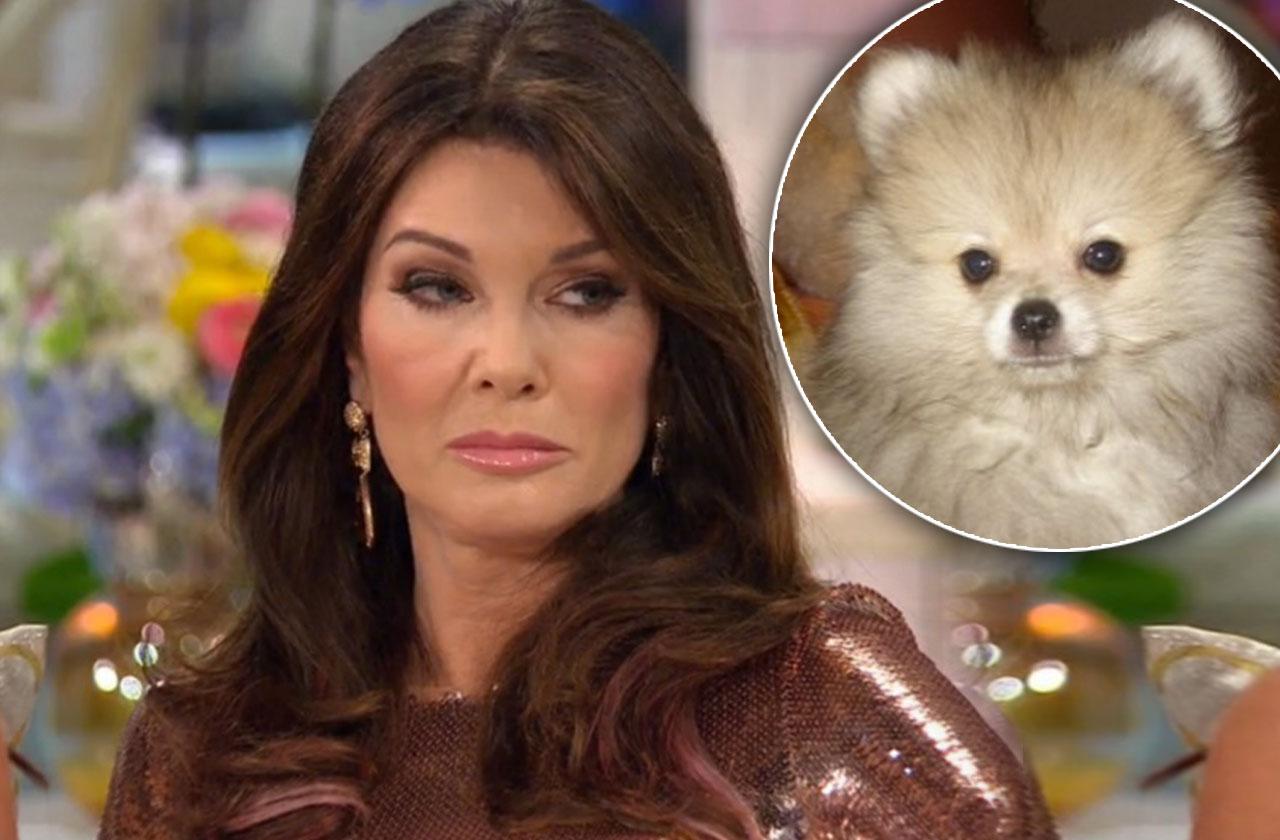 Lisa Vanderpump Dog Pikachu Dies