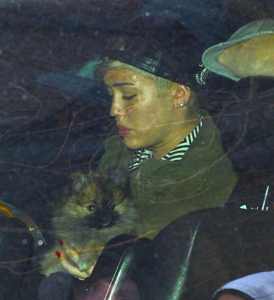 Miley Cyrus Crying Puppy Moonie