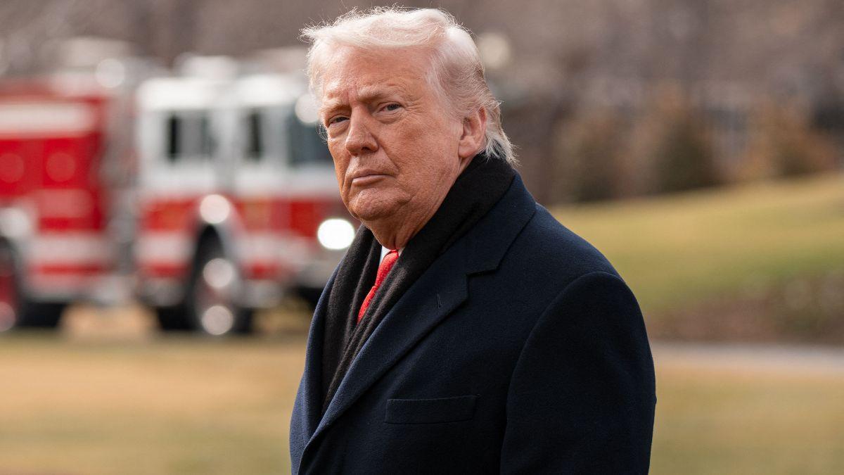 image of MTG calls Trump’s 'hoax' claim his biggest misstep.