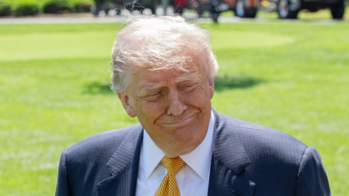 picture of donald trump