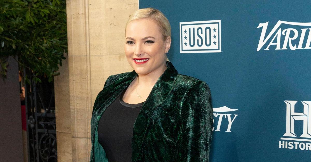 meghan mccain trashes elon musk and nick cannon