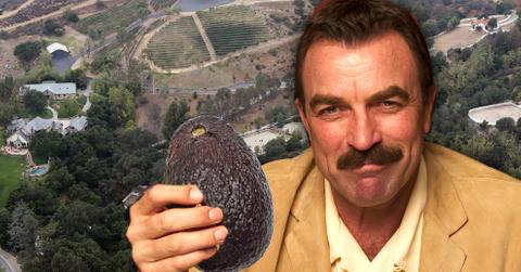 Tom Selleck Stealing Water Agreement