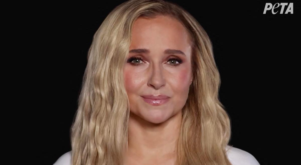 Zach Hickerson said he and Brian Hickerson tried to revive Hayden Panettiere after finding her 'unresponsive.'