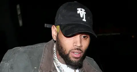 chris brown housekeeper demands jane doe name revealed in court before  million trial dog attack la mansion