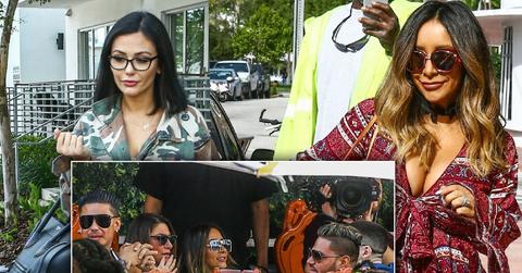 Jersey Shore Cast Miami Reunion Amid JWoww Leaving Husband