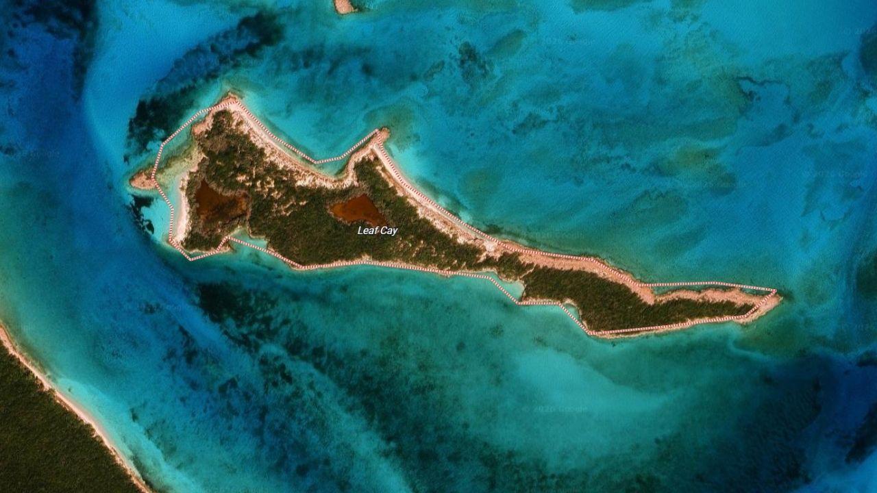 Photo of Leaf Cay