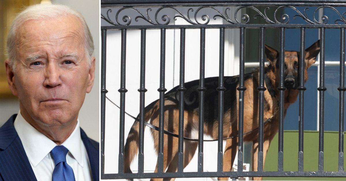 Biden's Dog Commander Sent Secret Service Agent to Hospital, Bit Six Others