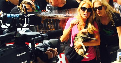 //Gretchen Rossi Return RHOC pp