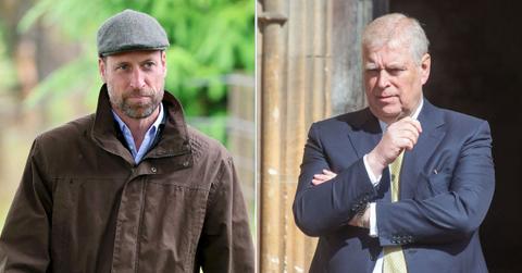 Photo of Prince William and Andrew Windsor