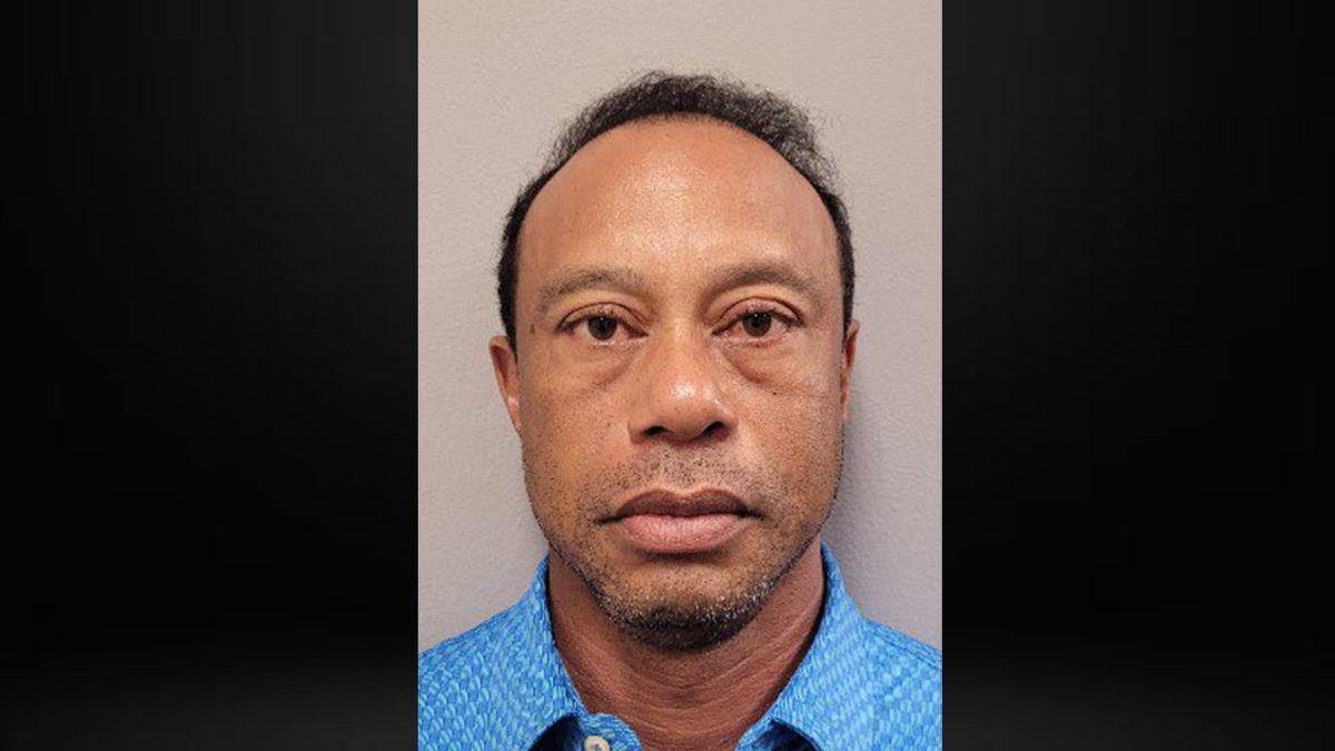 Tiger Woods admitted he would be seeking 'treatment' after his DUI arrest.