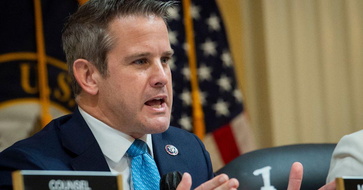 adam kinzinger calls donald trump a professional victim