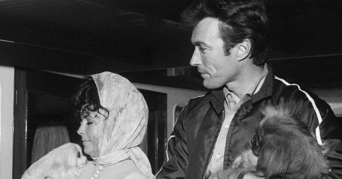 clint eastwood loves losses dirty harry investigate shocking deaths
