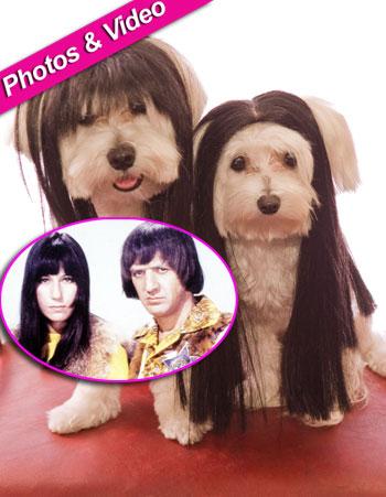 Sonny Cher Wigs Are The Hottest Accessory For Fashion Conscious