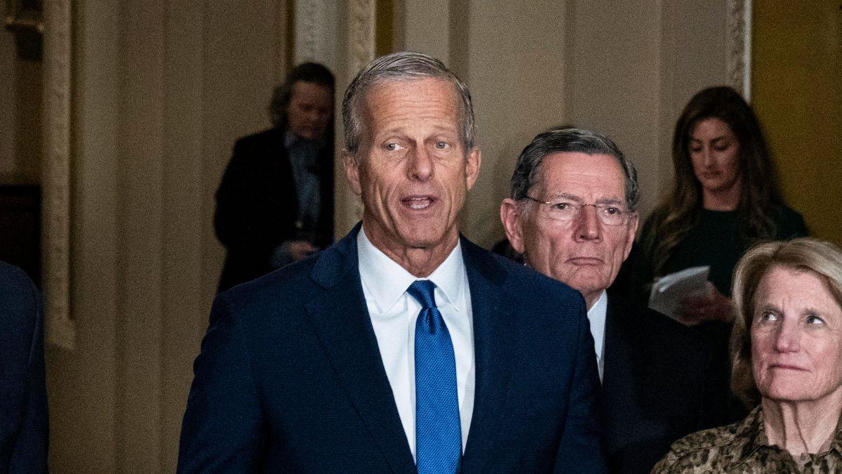 A photo of Senate Majority Leader John Thune and Senator John Barrasso