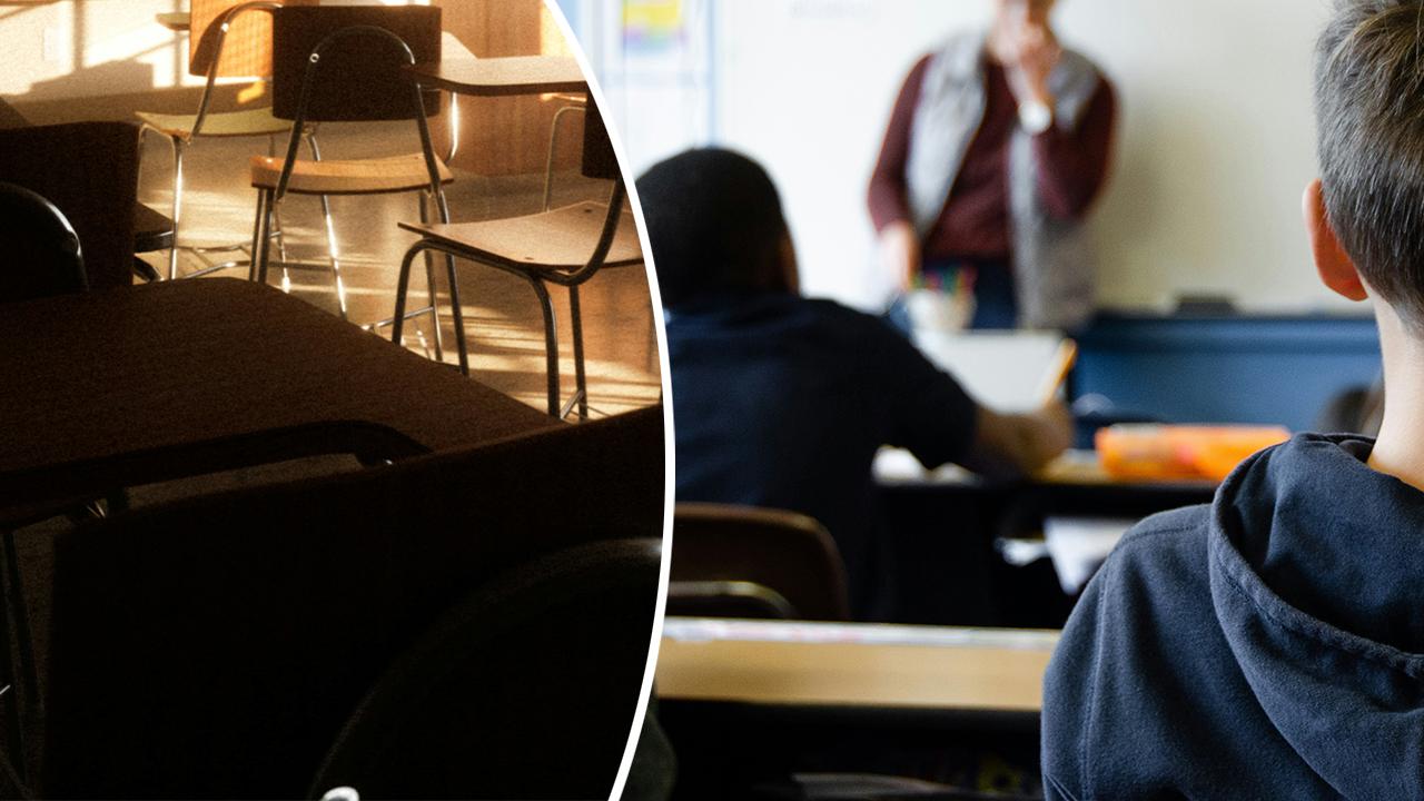 Teen girls were arrested for allegedly plotting a school shooting.